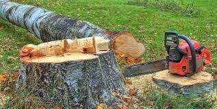 Best Emergency Tree Removal  in Lake Mohawk, NJ