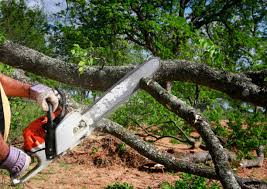 Best Seasonal Cleanup (Spring/Fall)  in Lake Mohawk, NJ