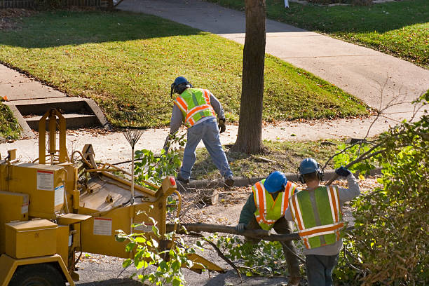 Best Firewood Processing and Delivery  in Lake Mohawk, NJ