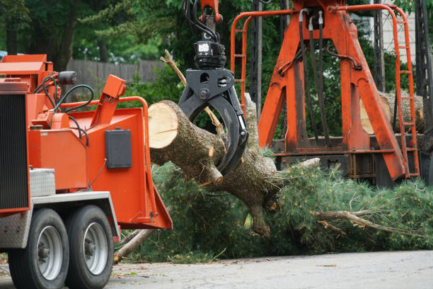 Best Aeration Services  in Lake Mohawk, NJ